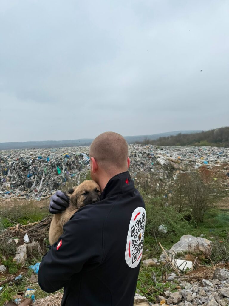 Gerettete Welpen werden von der Deponie weggetragen