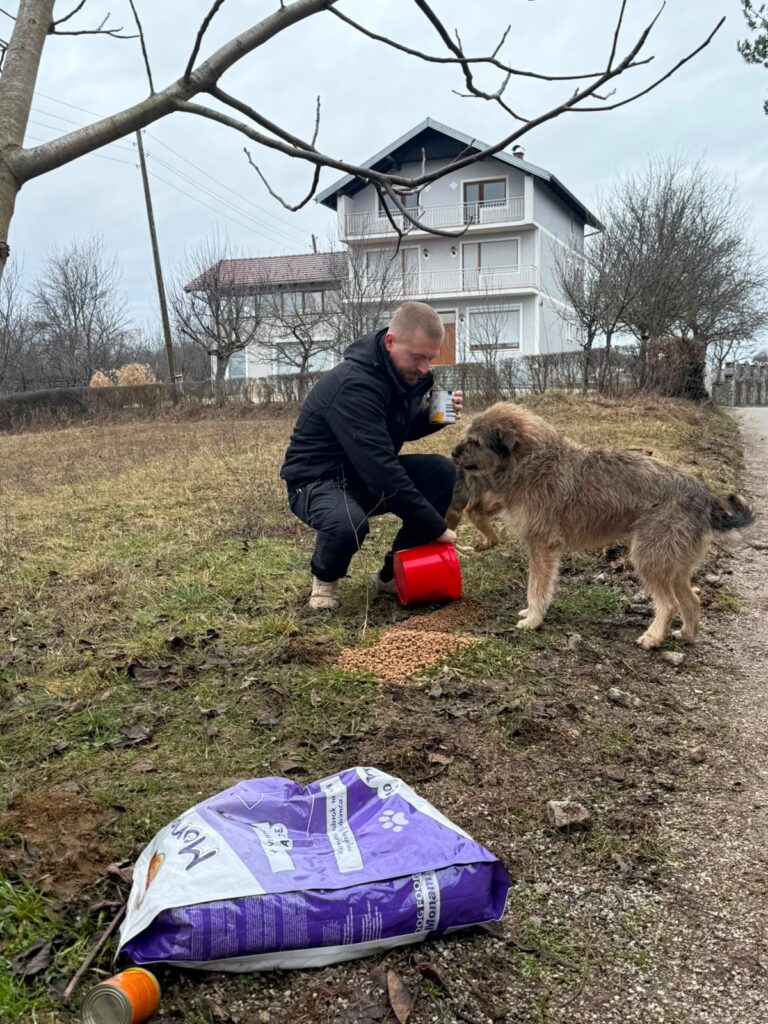 Zwei Hunde werden im Dorf mit Futtersäcken versorgt