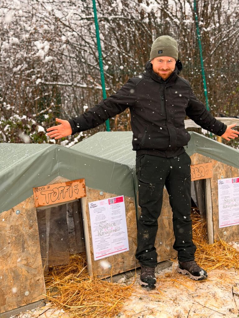 Gerettete Welpen in einer Notunterkunft