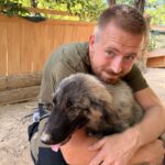 Tina – Hund aus Bosnien bei Shield of Dogs