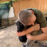 Tina – Hund aus Bosnien bei Shield of Dogs