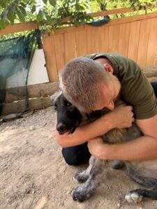 Tina – Hund aus Bosnien bei Shield of Dogs