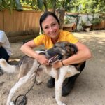 LOKI – Hund aus Bosnien bei Shield of Dogs