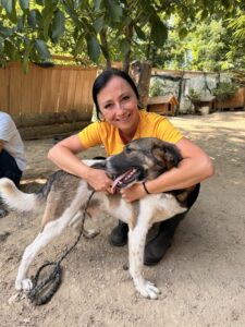 LOKI – Hund aus Bosnien bei Shield of Dogs