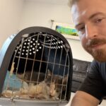 Sivko – Hund aus Bosnien bei Shield of Dogs