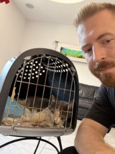Sivko – Hund aus Bosnien bei Shield of Dogs