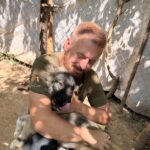 Mina – Hund aus Bosnien bei Shield of Dogs