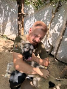 Mina – Hund aus Bosnien bei Shield of Dogs