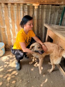 Malena – Hund aus Bosnien bei Shield of Dogs