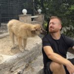 Cataleya – Hund aus Bosnien bei Shield of Dogs