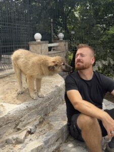 Cataleya – Hund aus Bosnien bei Shield of Dogs