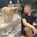 Cataleya – Hund aus Bosnien bei Shield of Dogs